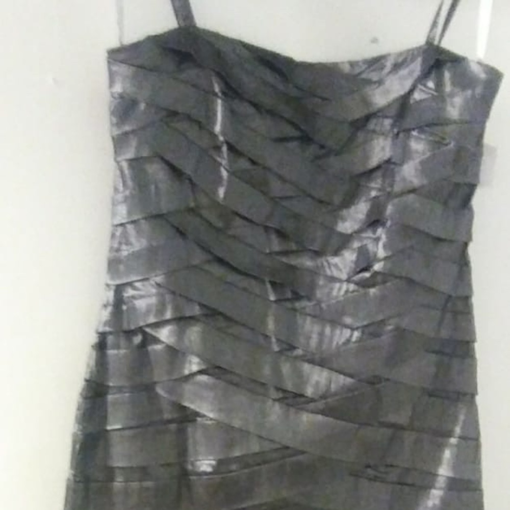 NWT David’s Bridal Dress